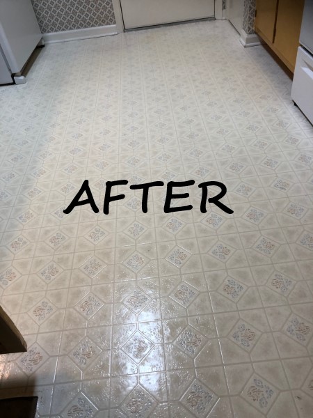 LG Patino House Cleaning Tallahassee FL FLOORS