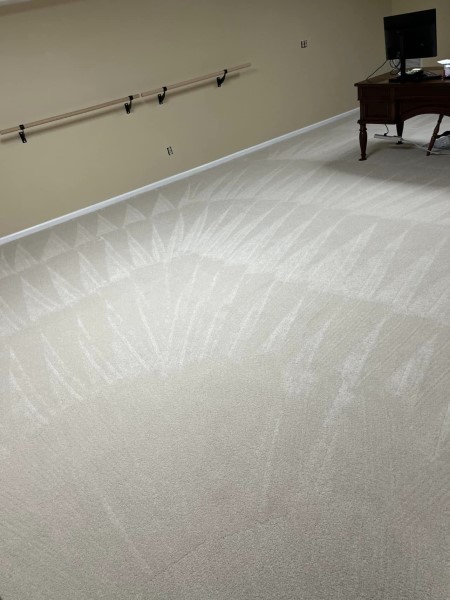 LG Patino House Cleaning Tallahassee FL CARPET